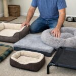 How to Choose the Right Pet Bed for Comfort and Support