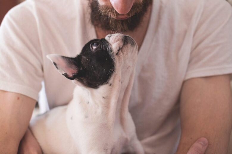 animals, dogs, friendship, nature, pets, eyes, muzzle, adorable, miniature, man, male, people, owner, love, love wallpaper