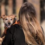 dog, pet, pet owner, nature, animal, owner, domestic dog, canine, harness, dog harness, mammal, cute, adorable, woman, female, outdoors